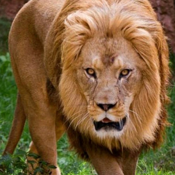 Meet your Posher, James - Picture 1 of 1